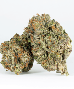 Double Purple Afgooey (AAA+) - Image 1