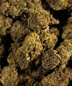 Tropical Breeze (AA) - Image 3