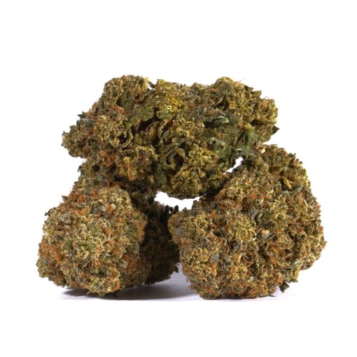 BLACK-DEATH-BUBBA-2.jpeg