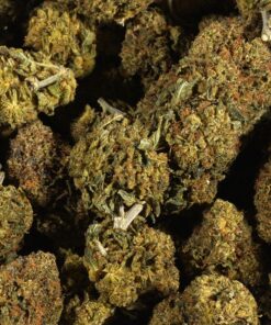 Black Death Bubba (AA) - Image 3