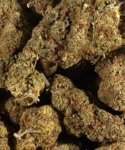 Grape God (AA) - Image 3