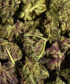 Huckleberry (A) - Image 3