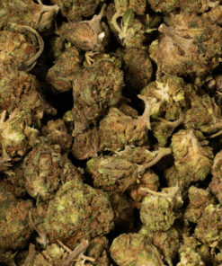 Strawberry AA (Promo) - Image 5
