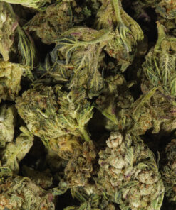 Space Cake (AA) - Image 5