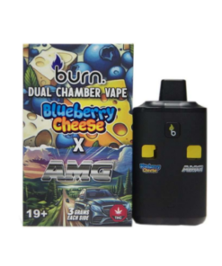 Burn Dual Vape (6g) - Blueberry Cheese + AMG - Image 1