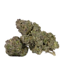 9LB Hammer (AAAA) - Image 1