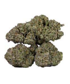 9LB Hammer (AAAA) - Image 2