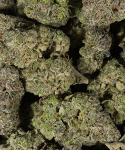 9LB Hammer (AAAA) - Image 5
