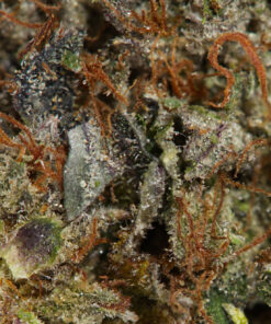 Ace Killer Og (AA) - Image 4