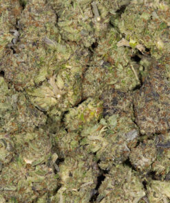Ace Killer Og (AA) - Image 5