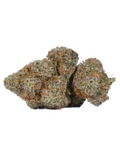 Cactus (AAAA) - Image 3