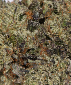 Cali Bubba (AAAA) - Image 4
