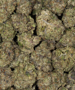Cali Bubba (AAAA) - Image 5