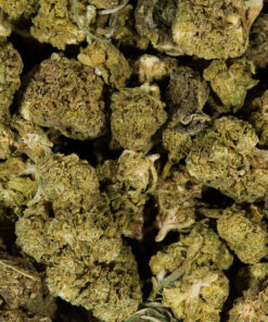Cherry OG (AA) - Image 4