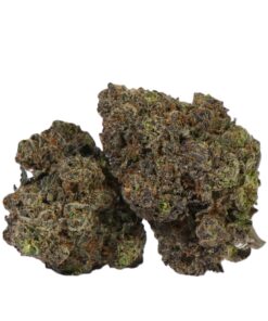 Gelato Cake (AAA)