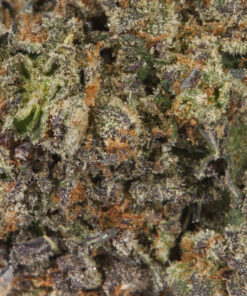 Gelato Cake (AAA) - Image 4