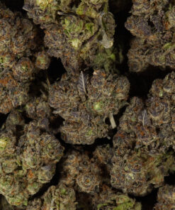 Gelato Cake (AAA) - Image 5