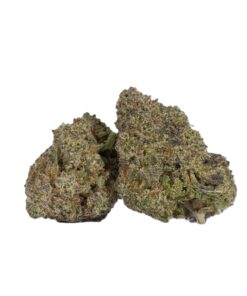 Ghost Dawg (AAA) - Image 1