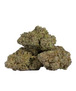 Ghost Dawg (AAA) - Image 2