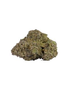 Ghost Dawg (AAA) - Image 3