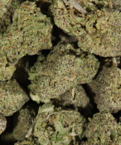 Ghost Dawg (AAA) - Image 5
