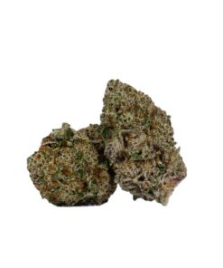 Harlequin (AAAA) - Image 1