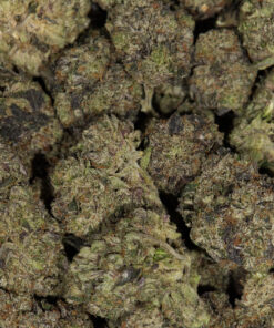 MK Ultra (AAAA) - Image 5