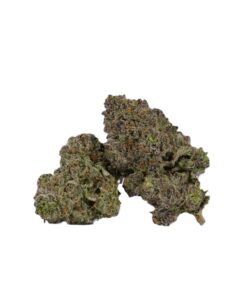 Snoop's Dream (AAAA) - Image 1