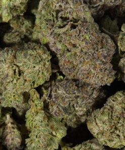 Snoop's Dream (AAAA) - Image 5