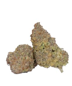 Tahiti Lime (AAAA) - Image 1