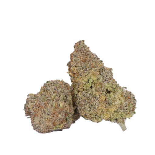 TAHITTI-LIME-1.jpg