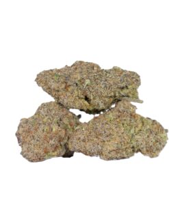 Tahiti Lime (AAAA) - Image 2